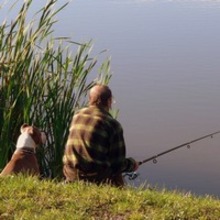 Fête de la pêche