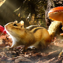 Petits Géants 3D