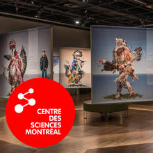 Tout un Pow-Wow