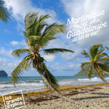 Les Grands Explorateurs