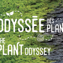 L'Odyssée des plantes