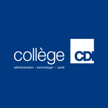 Journée d'ateliers au Collège CDI