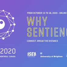 ISEA2020 Online - International Symposium on Electronic Art