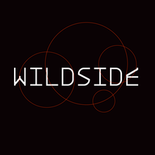 Festival Wildside