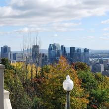 Montréal : visite de la ville d'une demi-journée