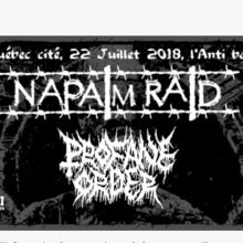 Napalm Raid, Profane Order