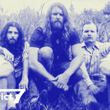 The Sheepdogs