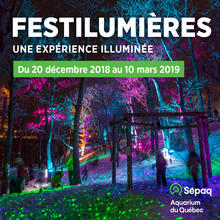 Festilumières