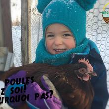 Des poules chez soi, pourquoi pas?