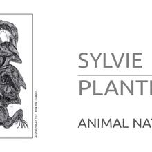SYLVIE PLANTE : “Animal Nation” - estampe et dessin