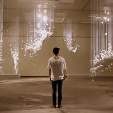 Exposition «Ephemeroptera»