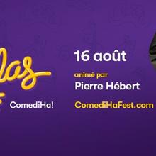 Gala de Pierre Hébert