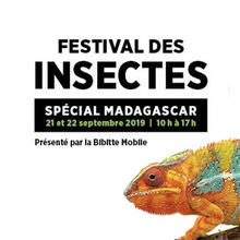 Festival des insectes