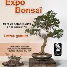 Exposition de bonsaïs