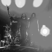 The Vinyls band