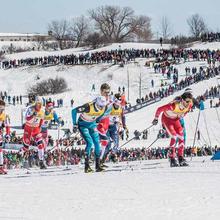 Coupe du monde FIS de ski de fond
