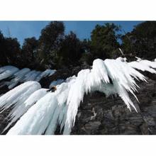 Festiglace de Pont-Rouge