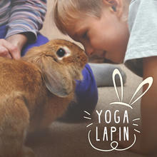 Yoga Lapin