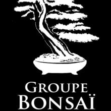 Formation sur le bonsaï