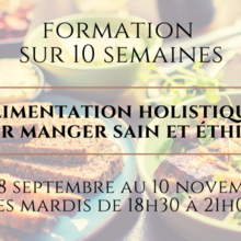 Fortmation en ligne: Alimentation Holistique