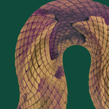 Venenum, un monde empoisonné (exposition virtuelle)