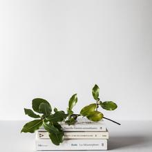 Suggestions de lecture personnalisées