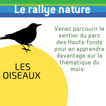 Rallye nature