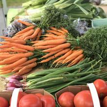 Marché public des Cantons (Stoneham)