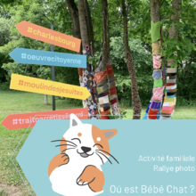 Rallye photo "Où est Bébé Chat ?"