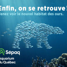 Une année remplie de découvertes à l'Aquarium du Québec!