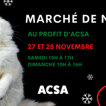 Marché de Noël ACSA 2021