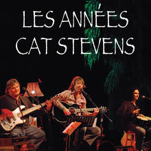 Les Années Cat Stevens