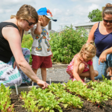 Ouverture du Centre éducatif en agriculture urbaine (CÉAU)