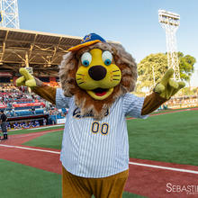 Partie de Baseball des Capitales de Québec