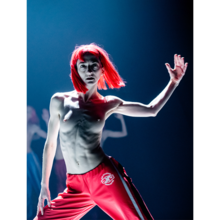 Compagnie Marie Chouinard