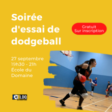 Soirée d'essai de dodgeball