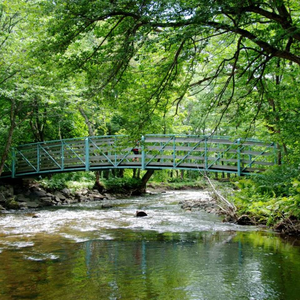 Pique-nique au Parc de l'Escarpement
