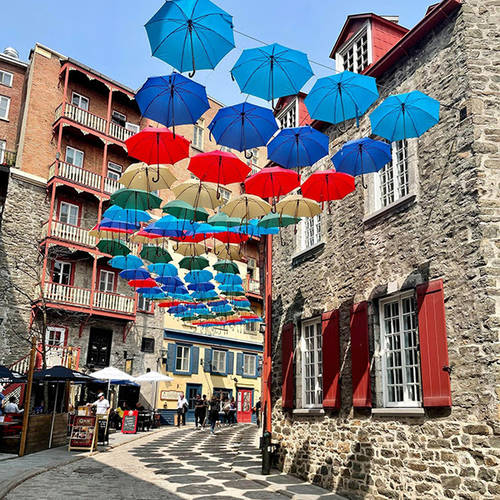 Les parapluies - Quartier Petit Champlain