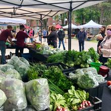 Le Marché public de Baie-Saint-Paul