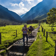 COLOMBIE – LE NOUVEL ELDORADO
