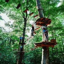 Arbre en arbre - Camp Fortune
