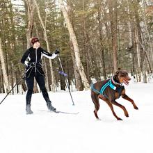 Skijoring