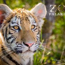 Zoo de Falardeau