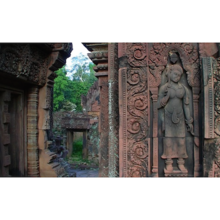 Passion d'Angkor