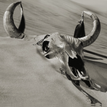 The Long Run