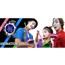 Ateliers et spectacle de cirque