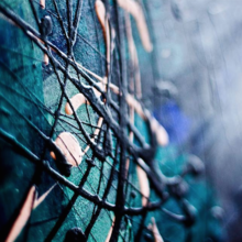 Exposition d'Audrey Loignon