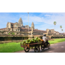 Passion d'Angkor