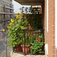 Jardiner sur son balcon