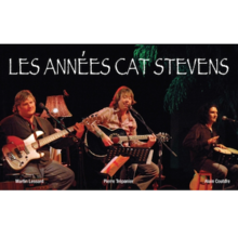 Les années Cat Stevens